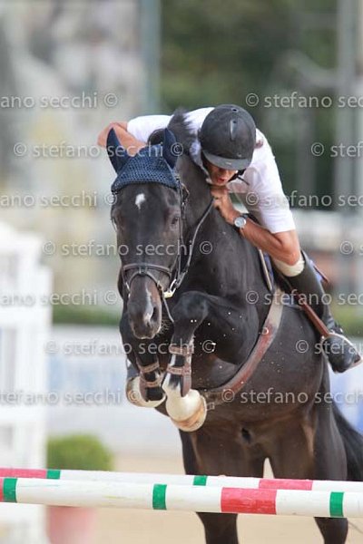 SAIBENE_CRISTHALCOLOR_GIO CAV 2011_SS3_9471.jpg